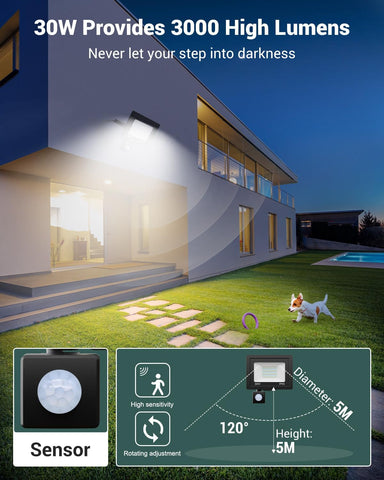 Modern house with outdoor lighting system, dog playing in garden, and sensor details.
