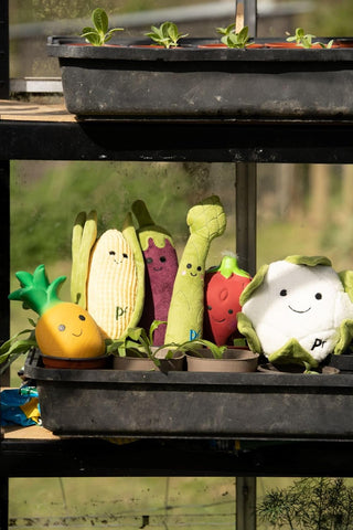 Petface Cauliflower Plush Dog Toy with Squeaker