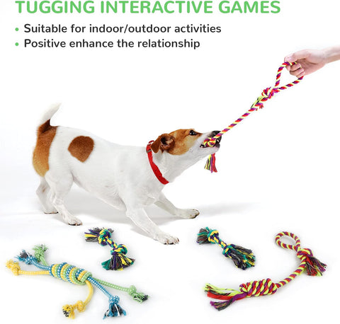 Squeaky Puppy Toy 12 Pack for Small Dogs