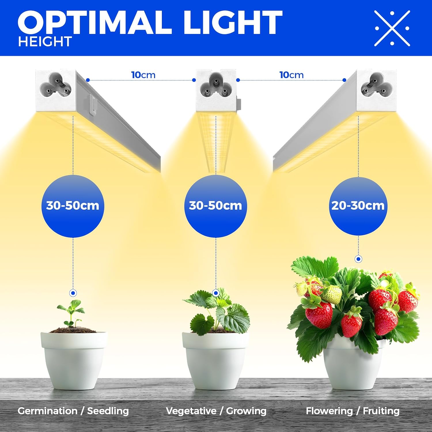 Diagram showing optimal light heights for different stages of plant growth with labeled plants.