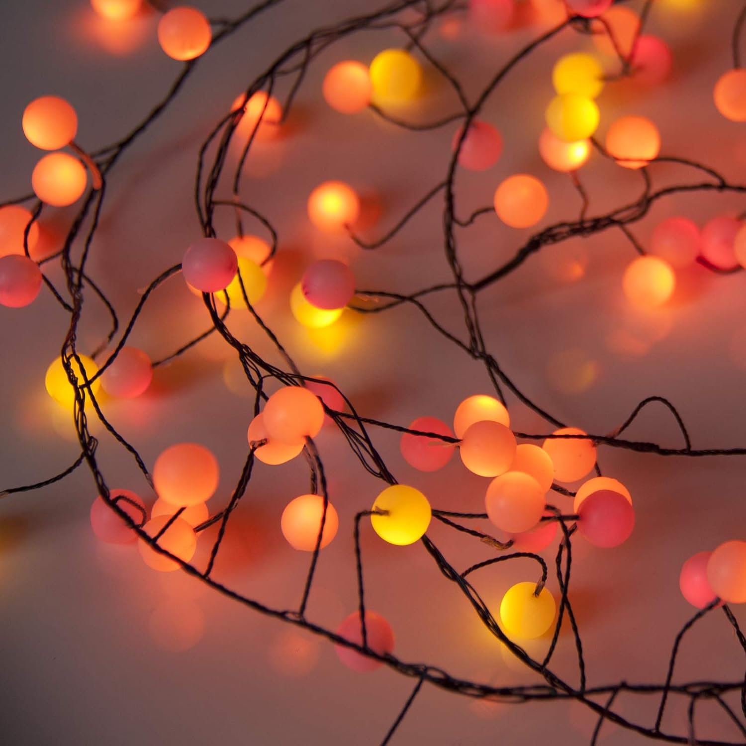 String of colorful lights on a branch against a blurred background