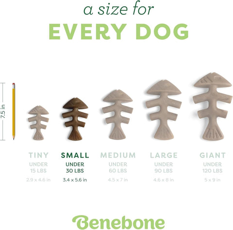 Benebone Indestructible Fishbone Dog Chew Toy for Aggressive Chewers, Long Lasting Tough Boredom Breaker for Dogs, Real Jack Salmon Flavour, For Small Dogs