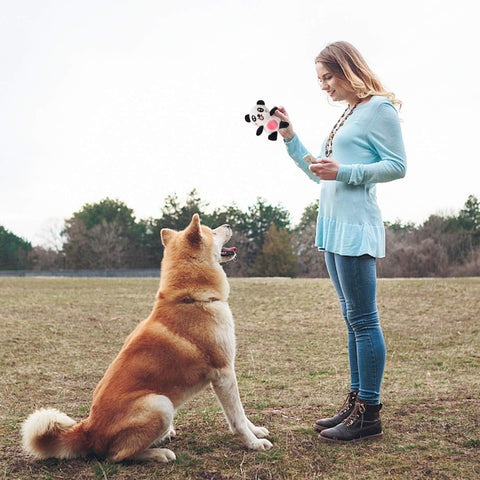 Squeaky Plush Dog Toy 6 Pack for Puppies and Small Dogs