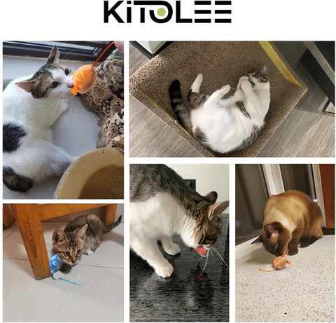 Catnip Mouse Cat Toys for Indoor Cats & Kittens – 6 Pack