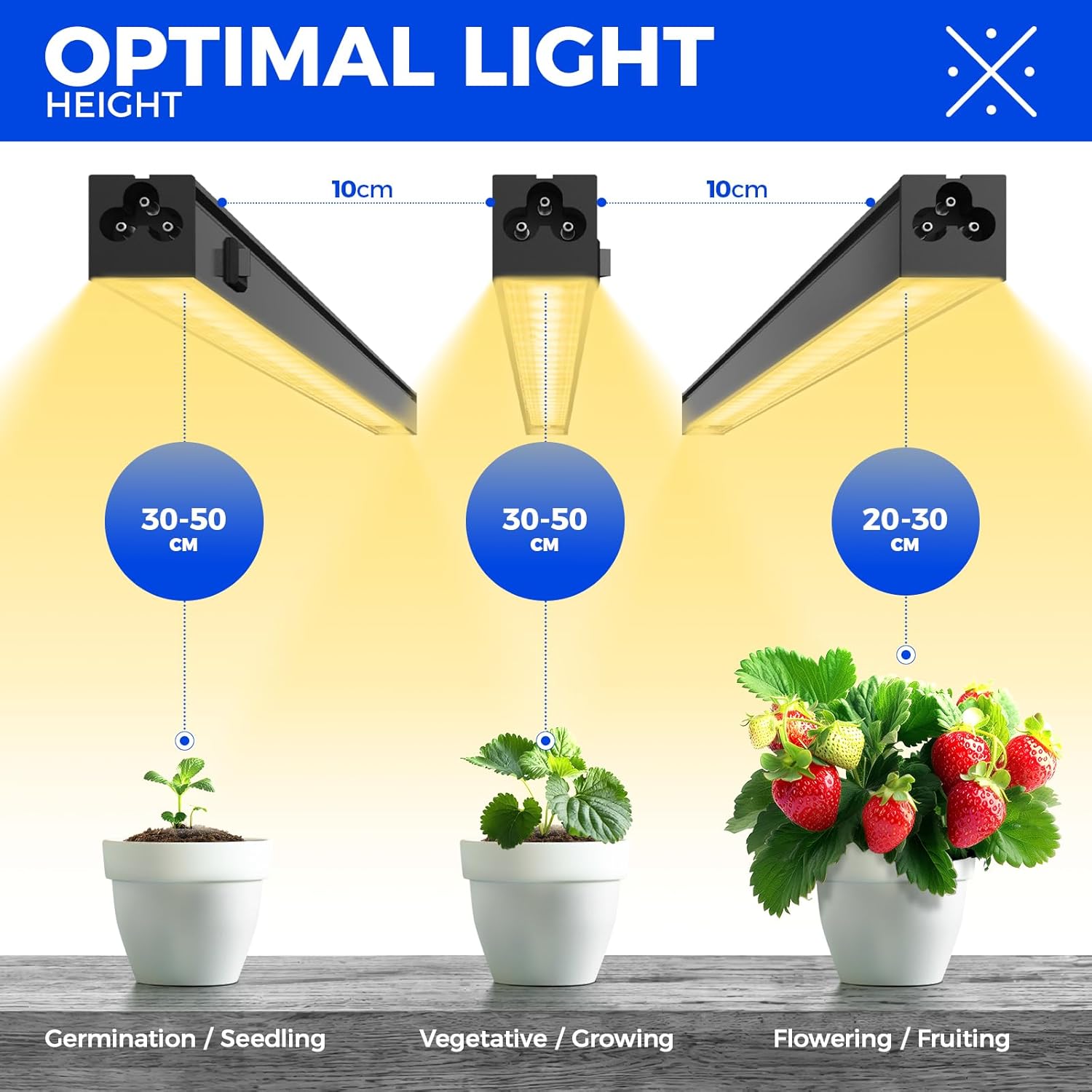 LED grow light setup with labeled distances for different plant growth stages.