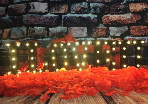 Black Alphabet Marquee Letters LED 26 Alphabet Light Up Letters with Diamond Bulb Battery Powered for Wedding, Birthday, Christmas, Home, Bar Decoration, Party Night Light