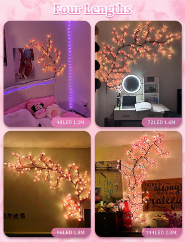 Collage of LED string lights in different lengths with a pink border and text 'Four Lengths'.