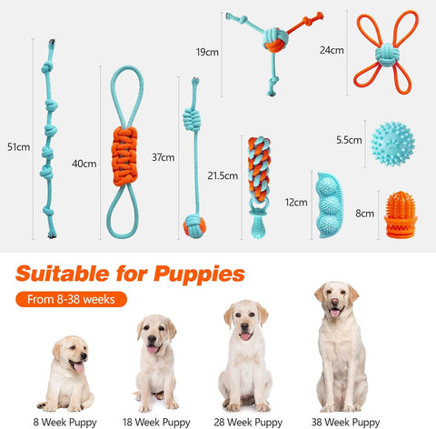 9 Pcs Interactive Puppy Toys for Teething and Tug of War