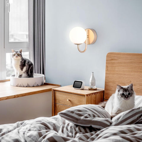 Gold Globe G9 Up Down Wall Light Modern Sconce