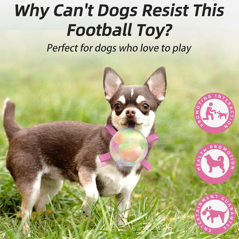 Dog Soccer Ball Toy with Straps for Small and Medium Dogs