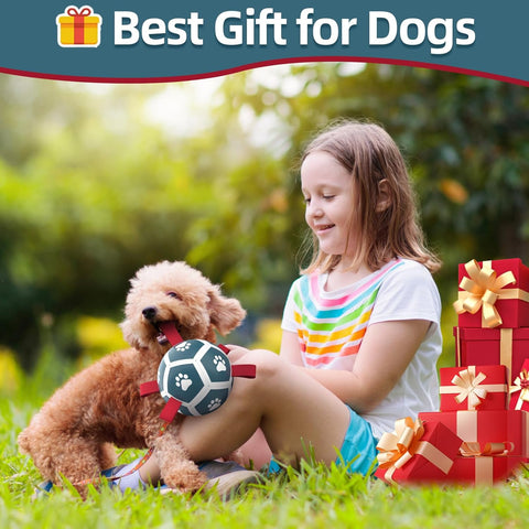 Small Dog Soccer Ball Toy with Straps Interactive Play