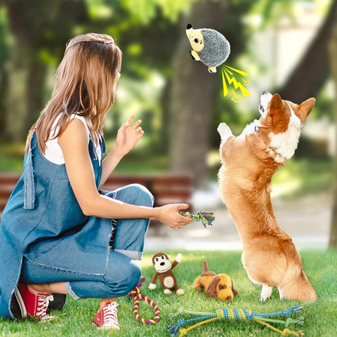 Squeaky Puppy Toy 12 Pack for Small Dogs