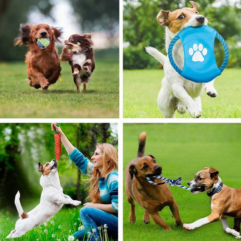 Puppy Chew Toys - 100% Natural Cotton Rope for Small & Medium Dogs (10 PCS)