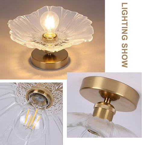 Modern Flush Mount Ceiling Light Fixture - E27 Clear Glass Shade 240V