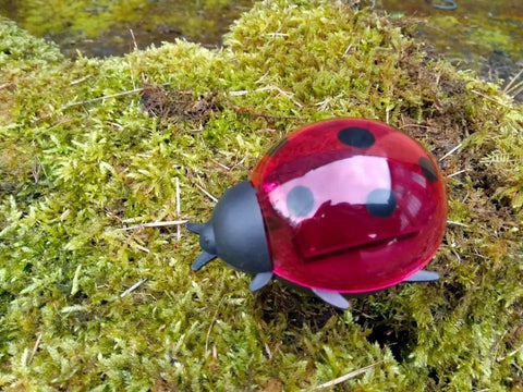 Solar Garden Stake Lights Decorative Ladybird and Bee Designs Outdoor Solar-Powered LED Lighting for Garden, Pathway (Pack of 4: 2 Ladybug + 2 bee)