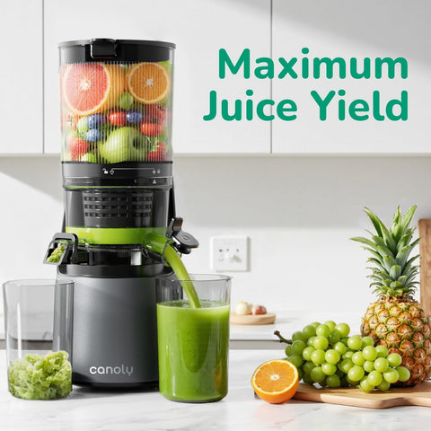 Cold Press Juicer Machine 350W Masticating Juicer Large Feeding Chute