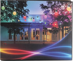 Colorful bulb covers on festoon string lights in a garden setting

