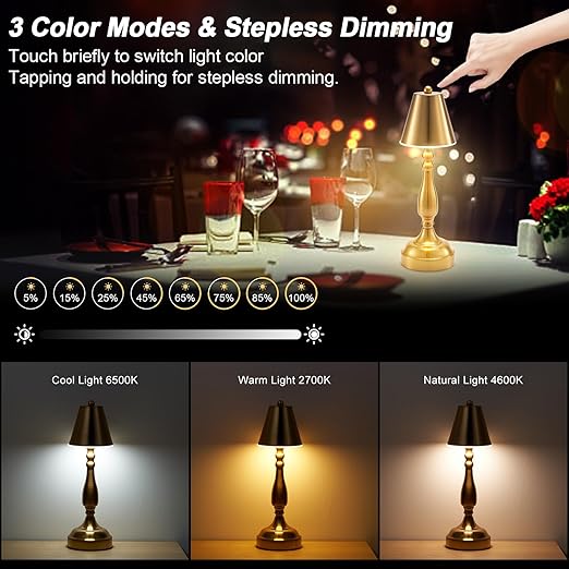 Portable Cordless Table Lamp, 5200mAh Battery Operated Small Table Lamps Rechargeable 3 Color Stepless Dimming Touch Lamp for Restaurant Bar Cafe Bedroom Outdoor Patio Bedside, Antique Brass