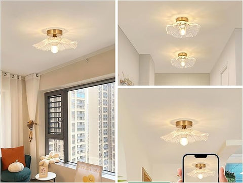 Modern Flush Mount Ceiling Light Fixture - E27 Clear Glass Shade 240V