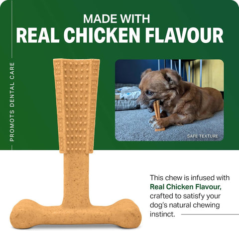Bamboodles T-Bone Dog Chew Toy – Small | Chicken Flavour
