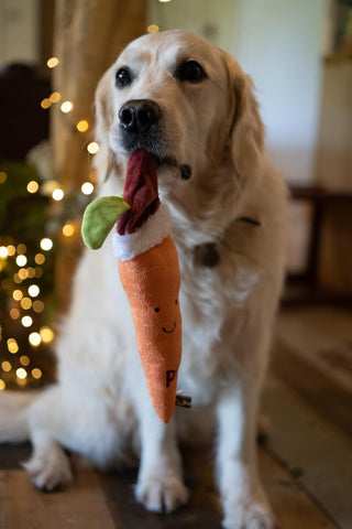 Petface Christmas Carrot Plush Dog Toy Large