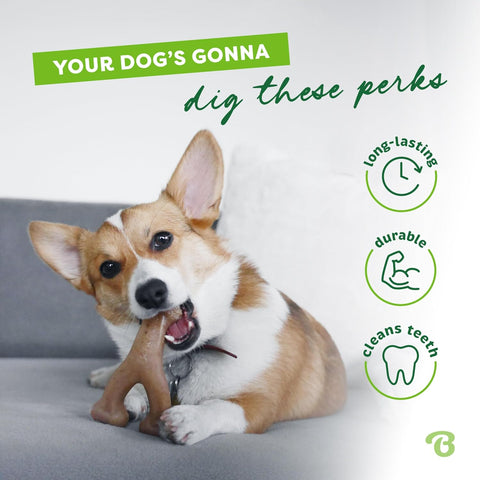 Benebone Wishbone Dog Chew Toy Bacon Flavour Small Dogs