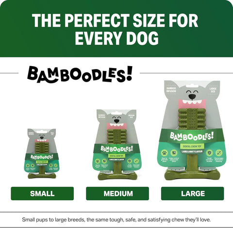 Bamboodles T-Bone Dog Chew Toy – Small | Mint & Lamb Flavour
