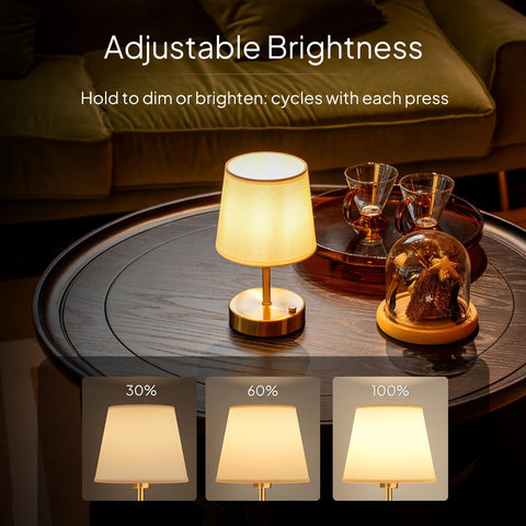 EppieBasic Rechargeable Cordless Table Lamp – 2700K Dimmable LED Light with 4000mAh Battery, Vintage Gold Finish for Bedroom, Living Room & Home Décor