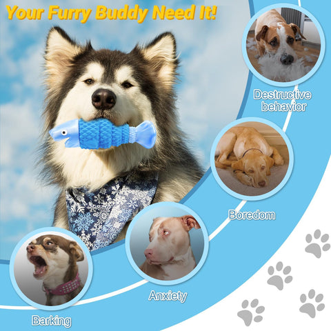 WinTour Tough Dog Toy for Aggressive Chewers – Indestructible Squeaky Chew Toy