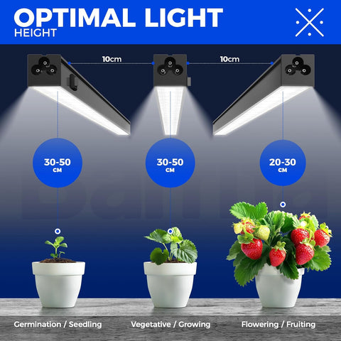 LED grow light setup with plants at different stages of growth on a dark background