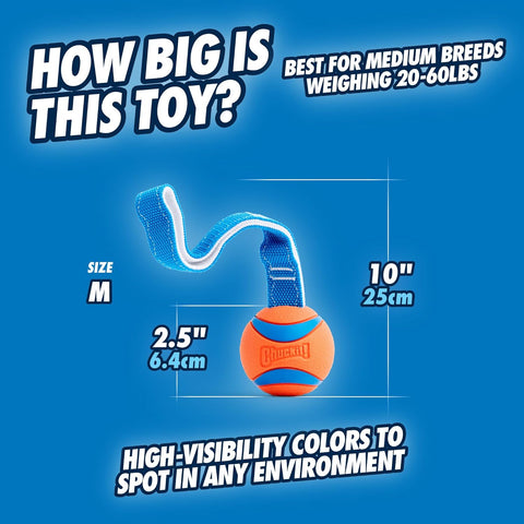 Medium Dog Tug and Fetch Rubber Ball Toy Orange