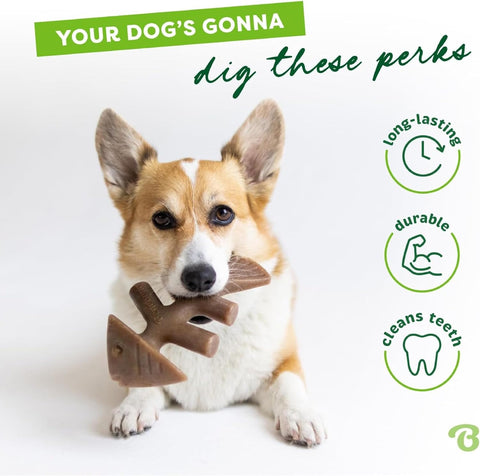 Benebone Indestructible Fishbone Dog Chew Toy for Aggressive Chewers, Long Lasting Tough Boredom Breaker for Dogs, Real Jack Salmon Flavour, For Small Dogs