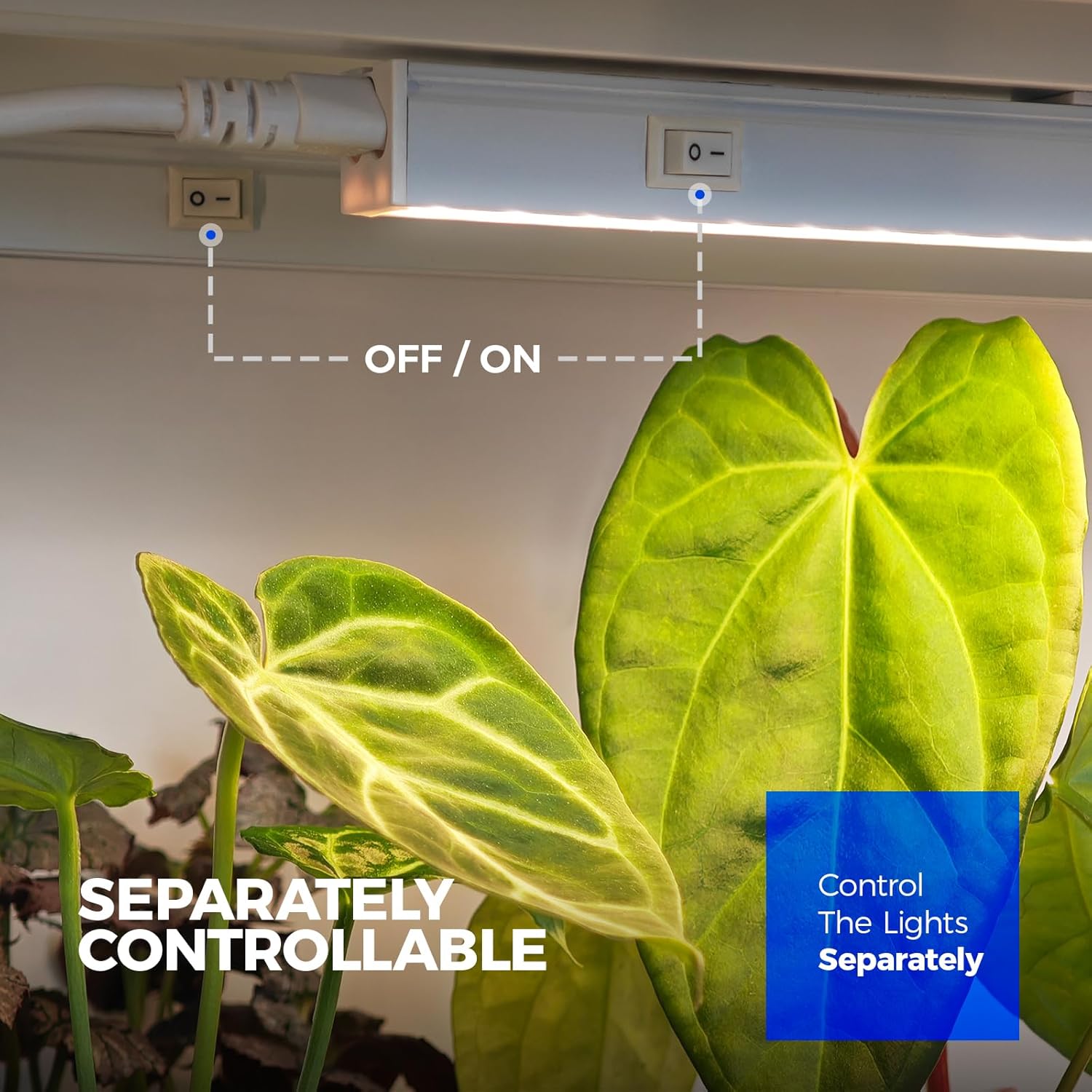 LED strip light fixture with control panel on a wall, illuminating a plant.