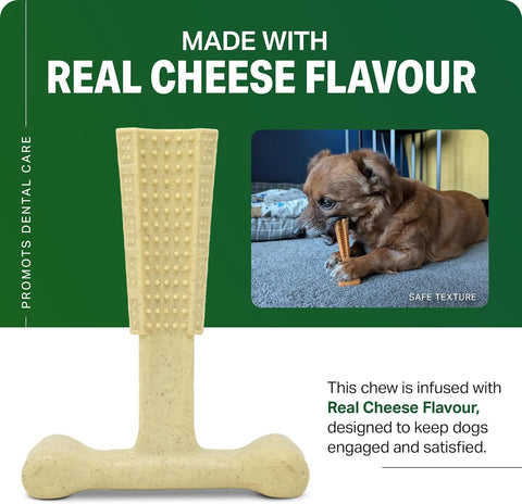 Bamboodles T-Bone Dog Chew Toy – Small | Cheese Flavour | Durable Natural Chew