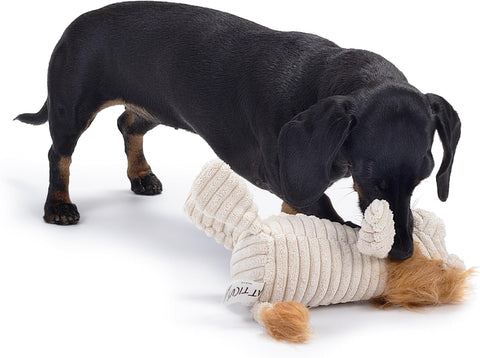 Brown Lion Plush Dog Toy with Squeaker