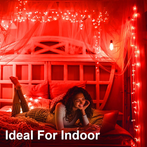 Battery Operated Waterproof Fairy String Lights with Timer, 3M 30 LED Decorative Lights for Indoor and Outdoor Use