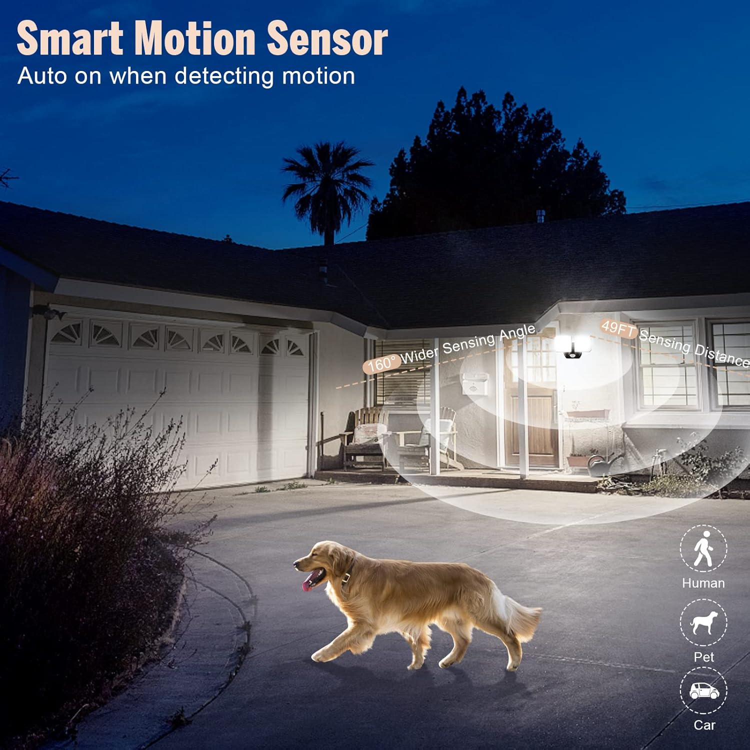 Smart motion sensor illuminating a house exterior with a dog walking on a path.