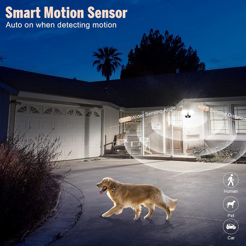 Smart motion sensor illuminating a house exterior with a dog walking on a path.