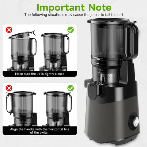 350W Cold Press Juicer Machine with Large 135mm Feed Chute for Fruits