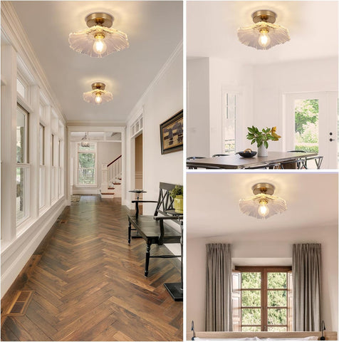 Modern Flush Mount Ceiling Light Fixture - E27 Clear Glass Shade 240V
