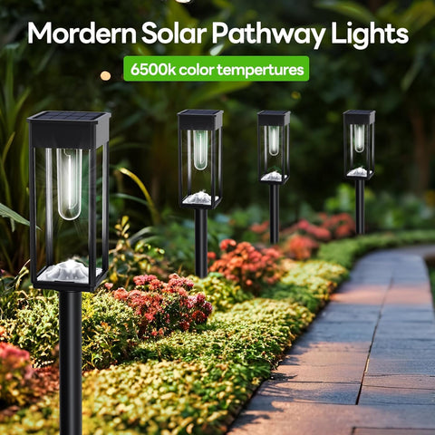 COXSENI Solar Pathway Lights Outdoor 6 Pack, 12Hrs Solar Powered, IP65 Waterproof, Cool White