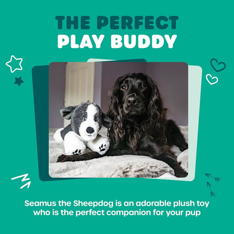 Webbox Seamus the Sheepdog Plush Dog Toy - Squeaky & Soft for Puppies