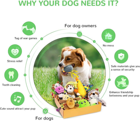 Squeaky Puppy Toy 12 Pack for Small Dogs