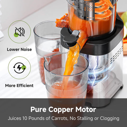 Cold Press Juicer Machine Slow Juicer 145mm Large Chute Stainless Steel