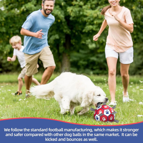 HETOO Dog Soccer Ball Interactive Toy for Small & Medium Dogs Red White 8 inch