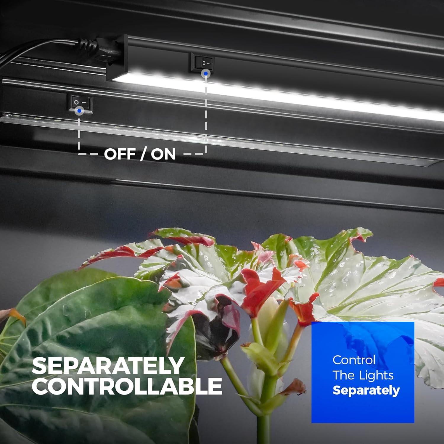 LED grow light with control panel on a dark background, featuring a plant below.