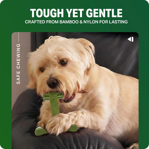 Bamboodles T-Bone Dog Chew Toy – Small | Mint & Lamb Flavour