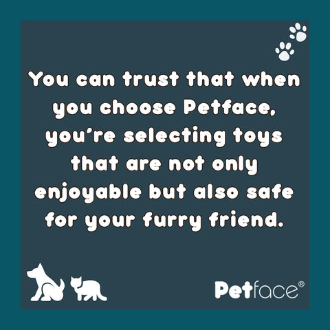 Petface Squeaky Rugby Tennis Ball Dog Toy