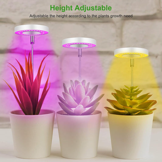 Grow Light, 48 LEDs Full Spectrum Growing Lamp for Indoor Plants, 9 Adjustable Brightness 180° Rotatable Light Panel, Height Adjustable with Auto On/Off Timer 3/9/12H, for Small Plants