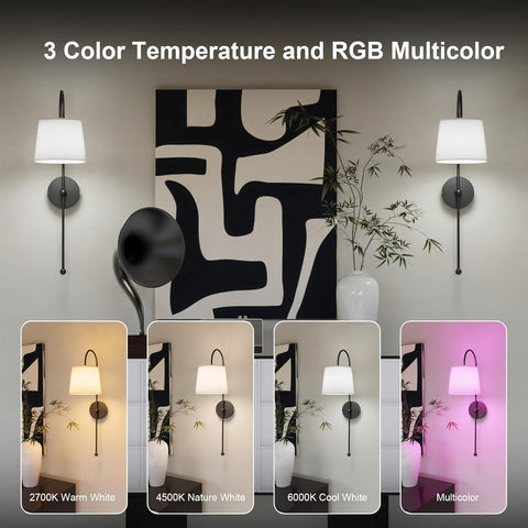 Rechargeable Wall Lights Indoor with Remote & RGB
